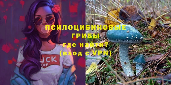 сатива Михайловка