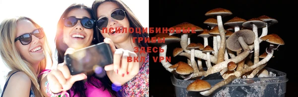 сатива Михайловка